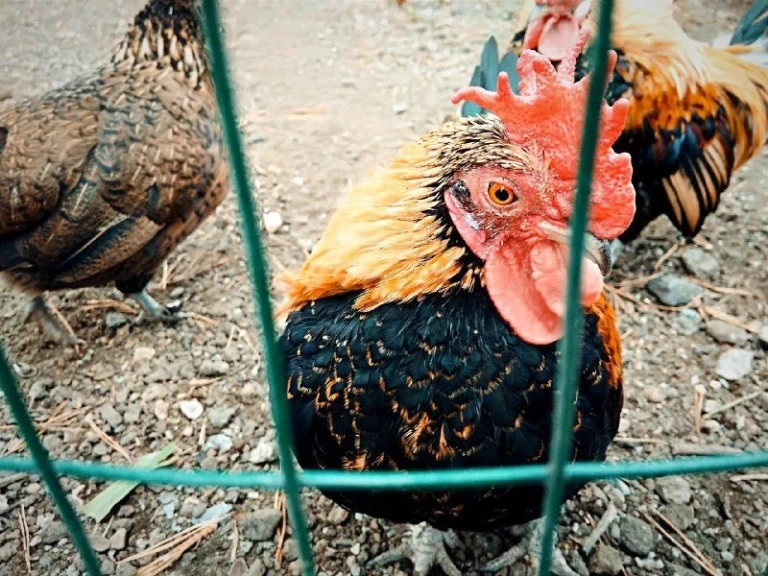 РБК Приморье