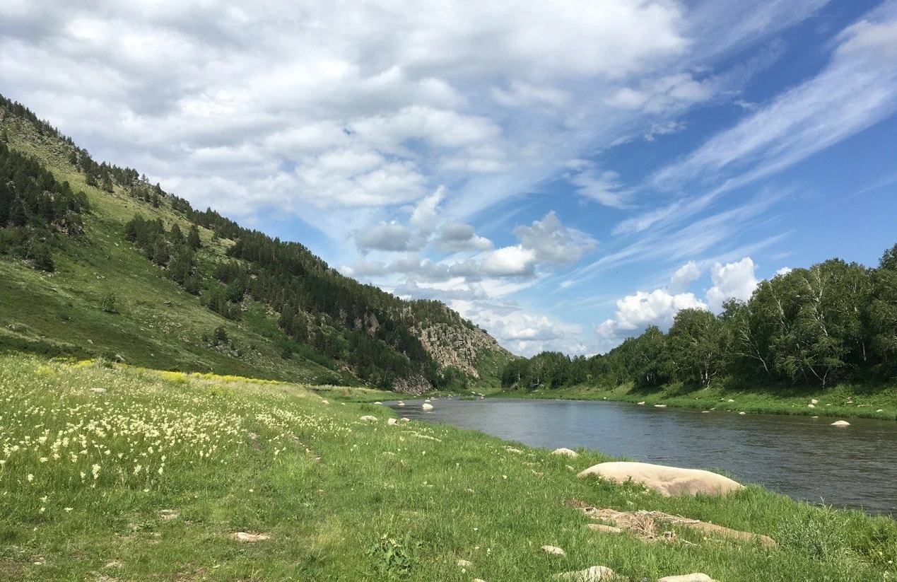 РБК Новосибирск