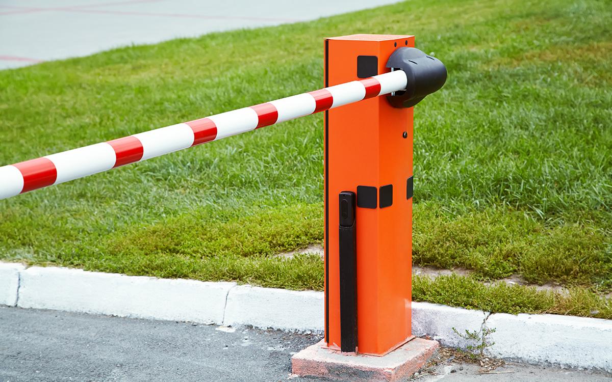 Фото: Evgeny Bakharev / Shutterstock / FOTODOM