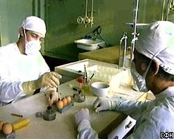 "Птичий грипп" пришел в Южную Америку