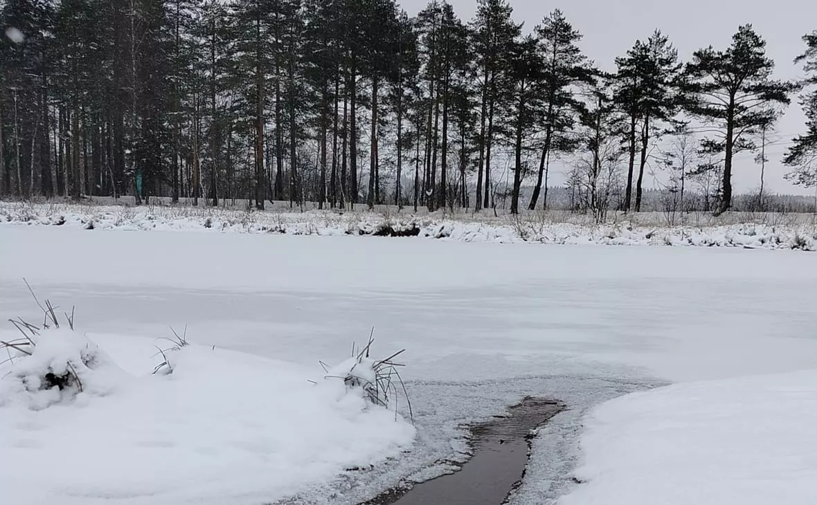 РБК Карелия