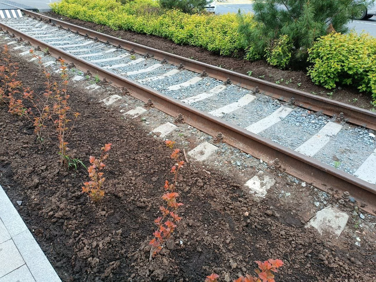 РБК Приморье