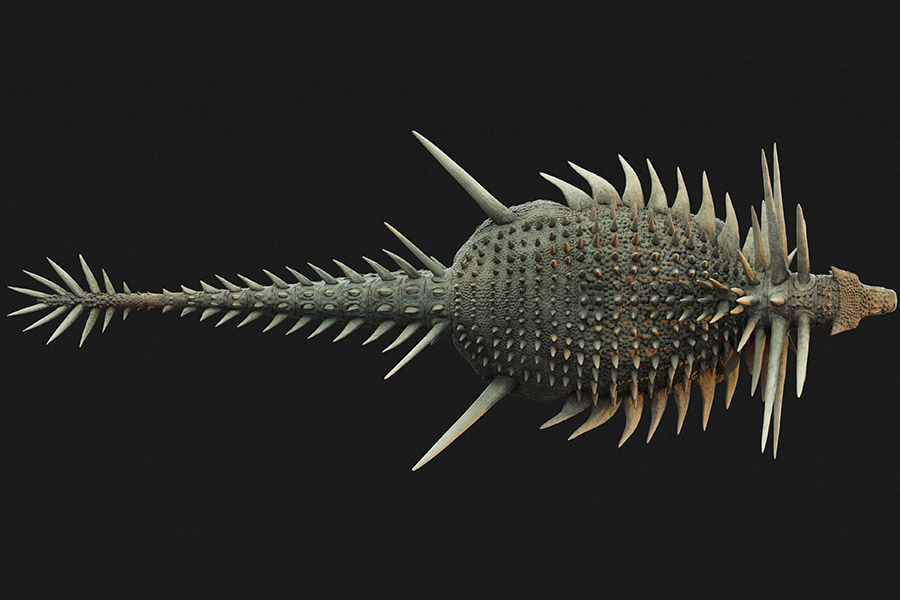 Фото: Matt Dempsey / Reuters