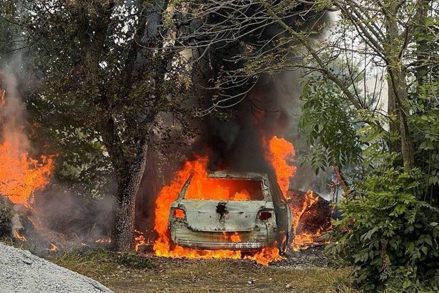 Фото: vvgladkov / Telegram