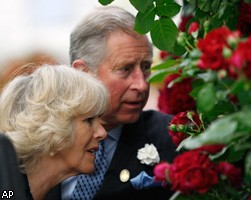 Роза с запахом цитрусовых выведена для принца Чарльза 
