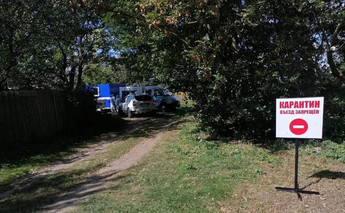 пресс-служба правительства Курской области