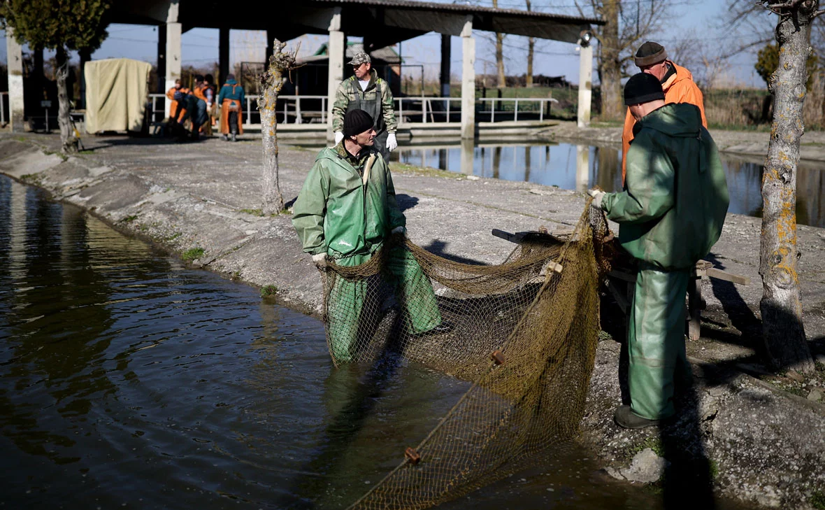 Виталий Тимкив / РИА Новости