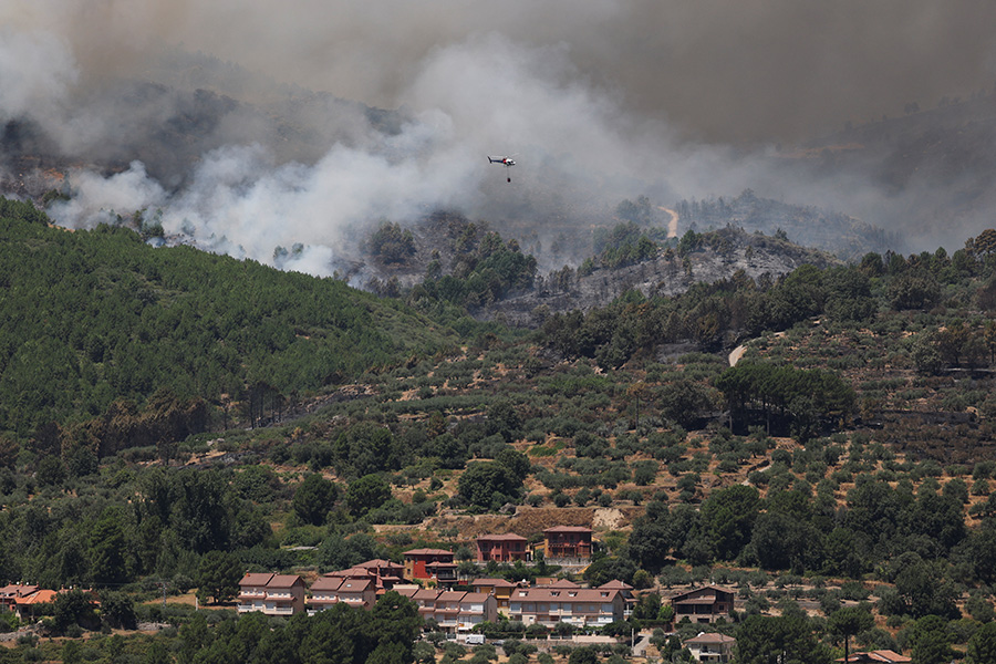 Фото: Juan Medina / Reuters