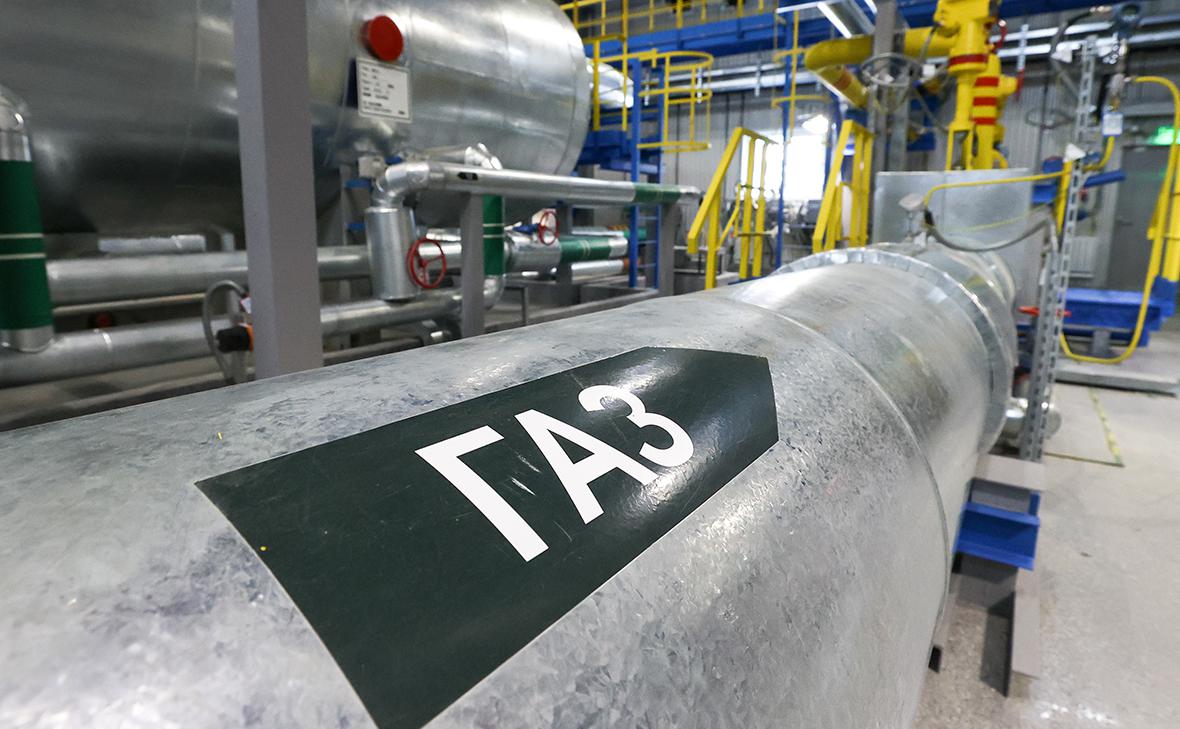 Фото: Кирилл Кухмарь / ТАСС