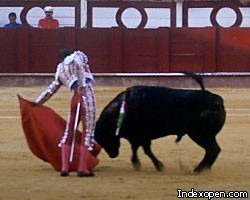 Разъяренный бык поднял на рога знаменитого матадора 