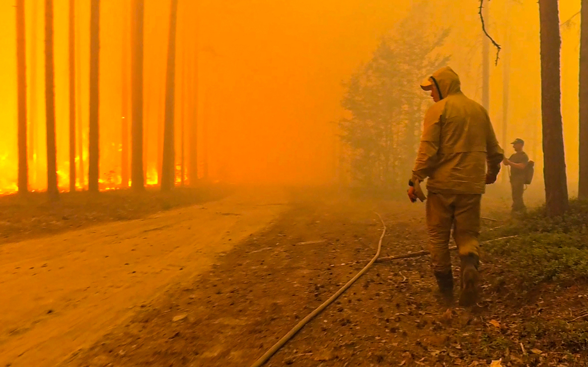 Общая площадь пожаров в России превысила 10 млн га с начала года