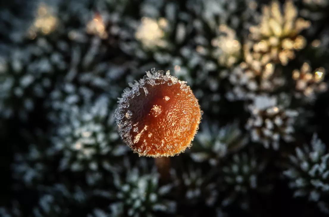 Александр Кулаковский / РИА URA.RU 