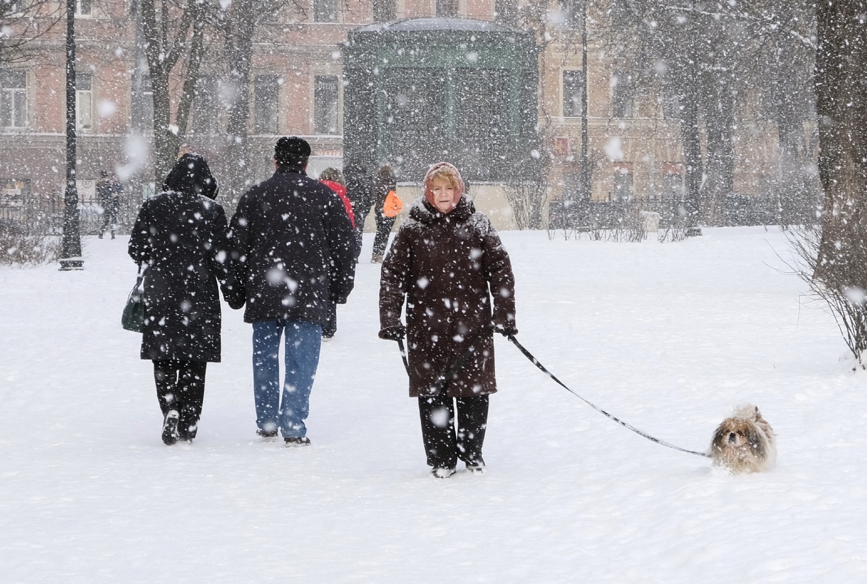 Фото: Холявчук Светлана/PhotoXPress.ru