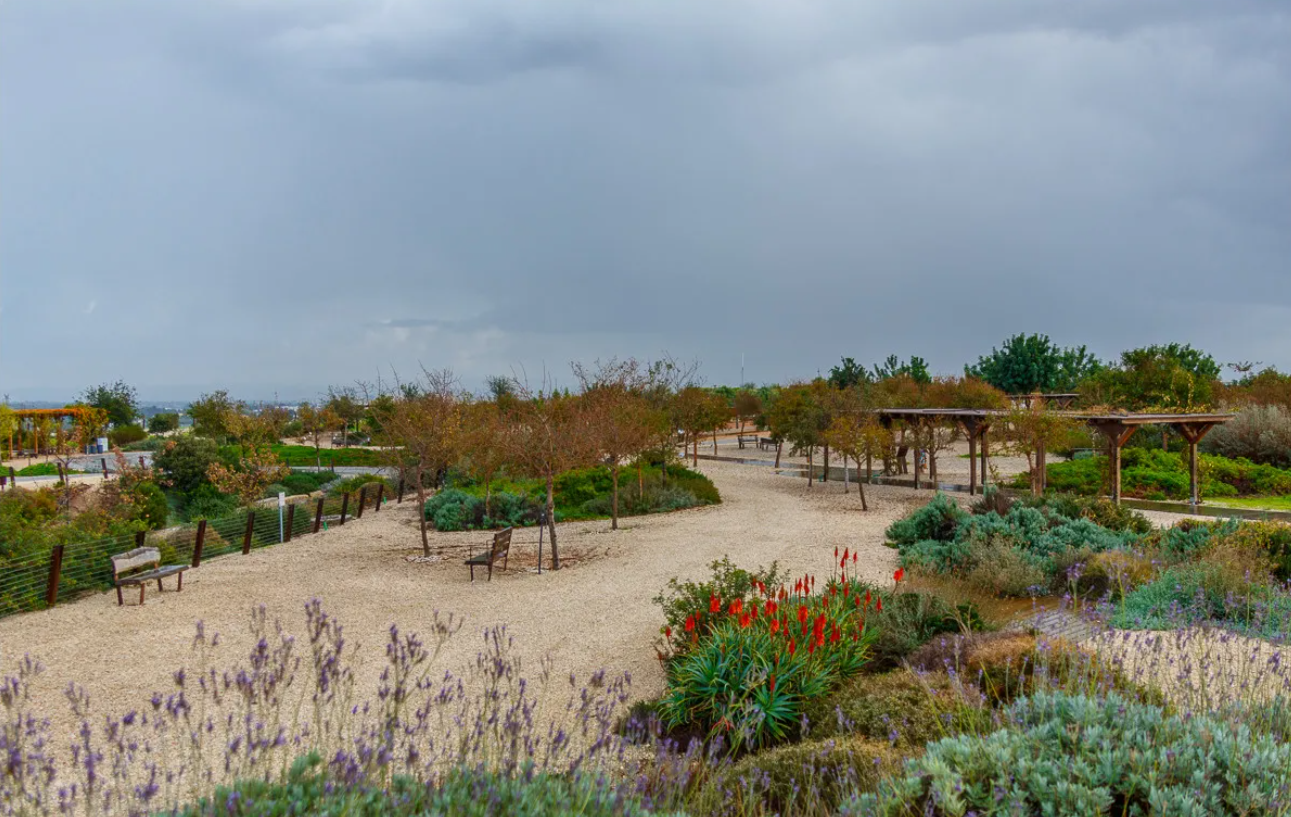Растения в парке высажены на слоях биопластика, грунта и чистой почвы, что защищает их от заражения