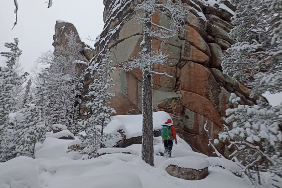 Фото: Алексей Исиченко / РБК