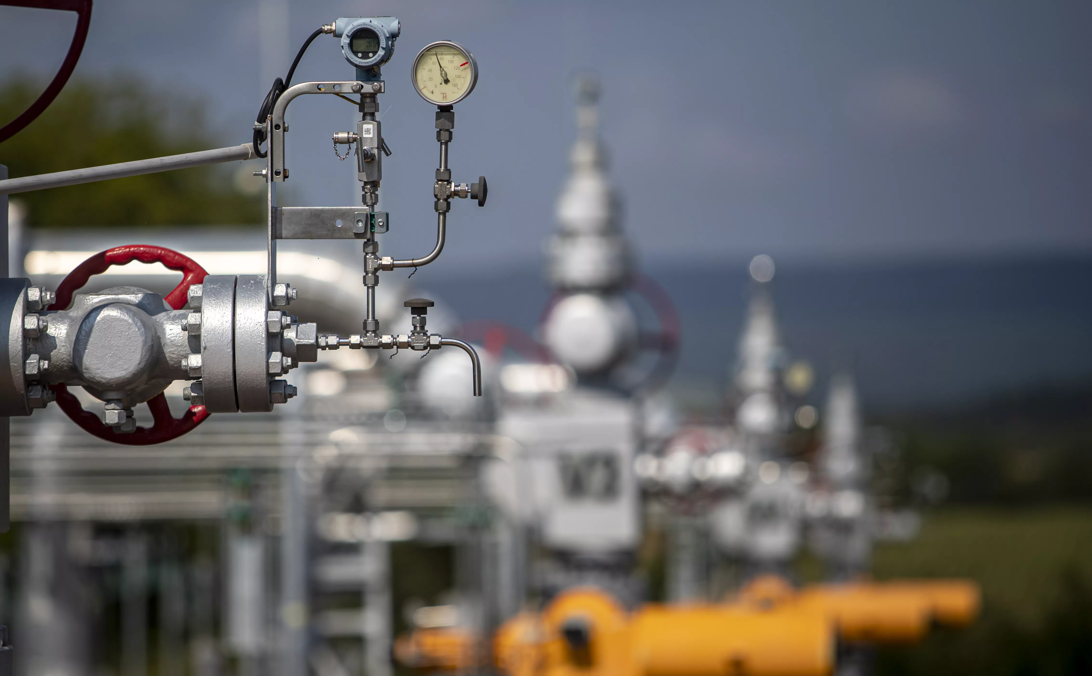 MARTIN DIVISEK / EPA / ТАСС