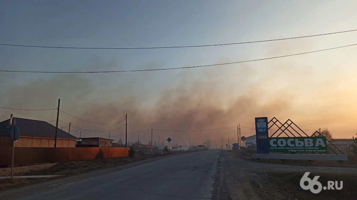 Дмитрий Антоненков, 66.RU