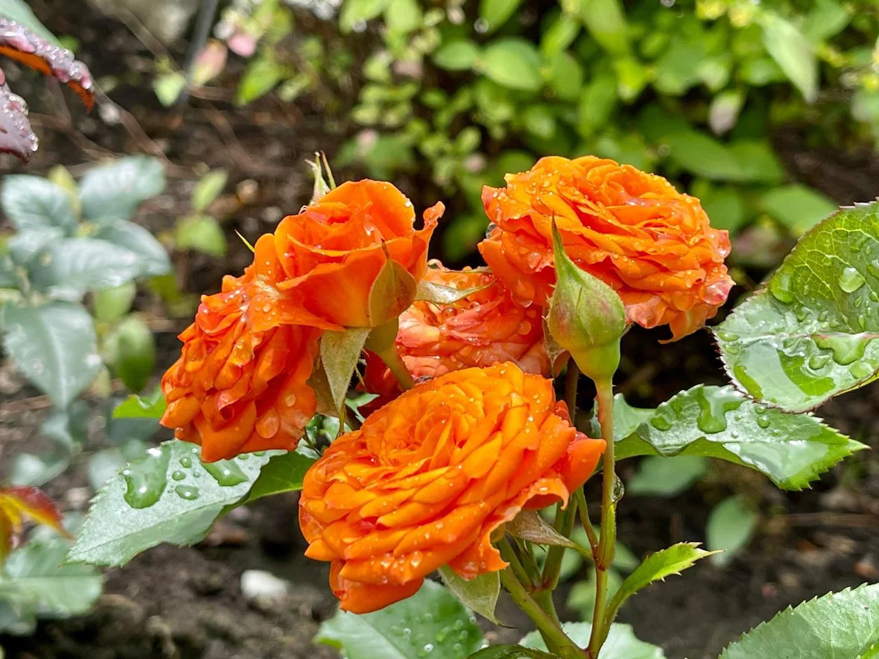 РБК Приморье