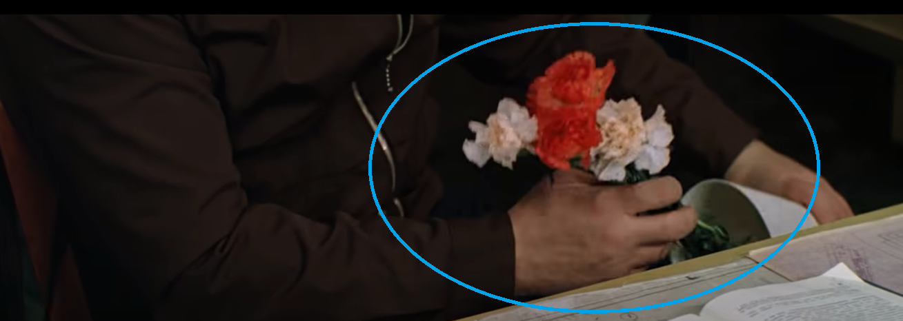 <p>Миша вкладывает гвоздики в рулон ватмана бутонами к правой руке. Кадр из фильма &laquo;Самая обаятельная и привлекательная&raquo;</p>

<p></p>