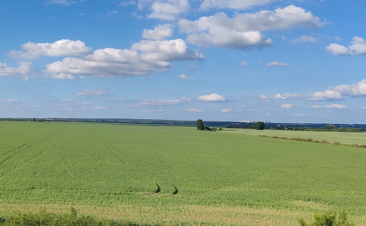 Фото: РБК Черноземье