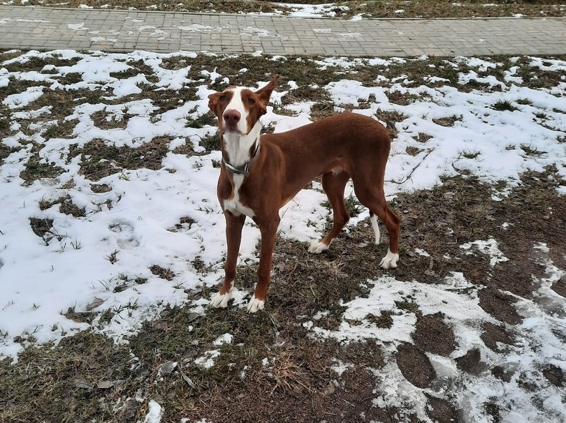 Фото: vk.com/public63097401