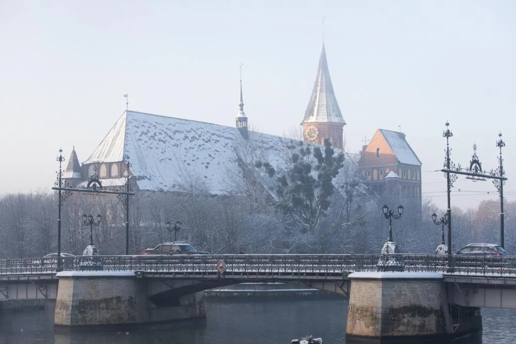 Александр Подгорчук