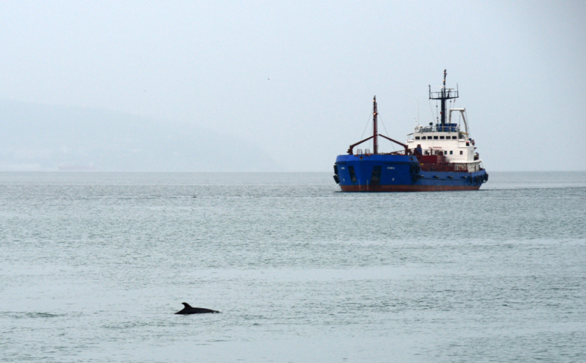 Игорь Онучин / ТАСС