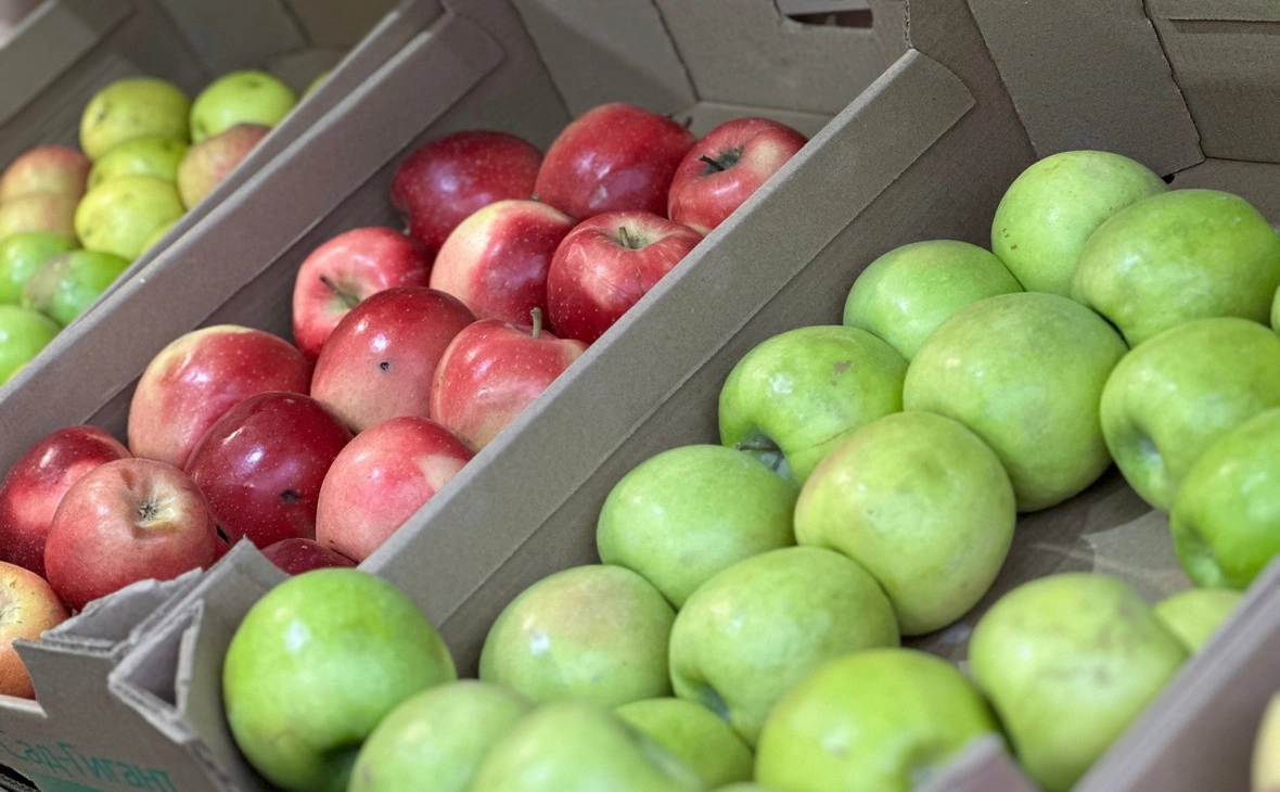 РБК Краснодар