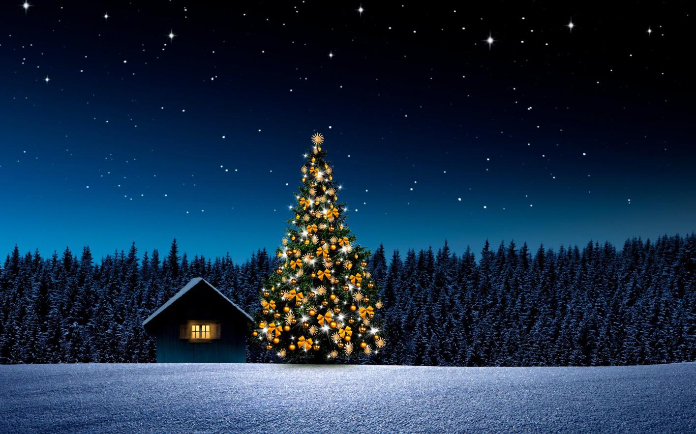 Фото: Shutterstock