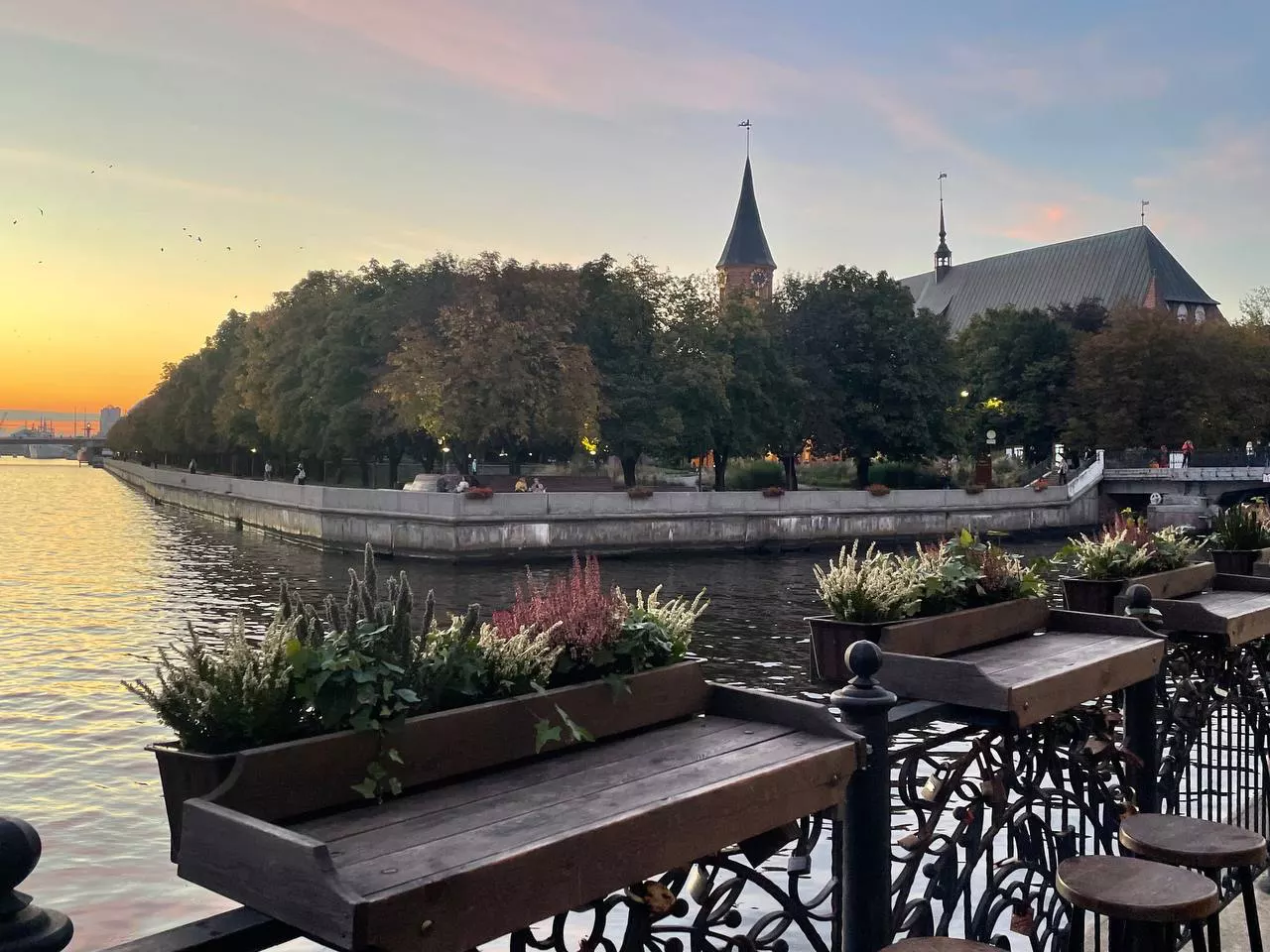 Марина Маркевич