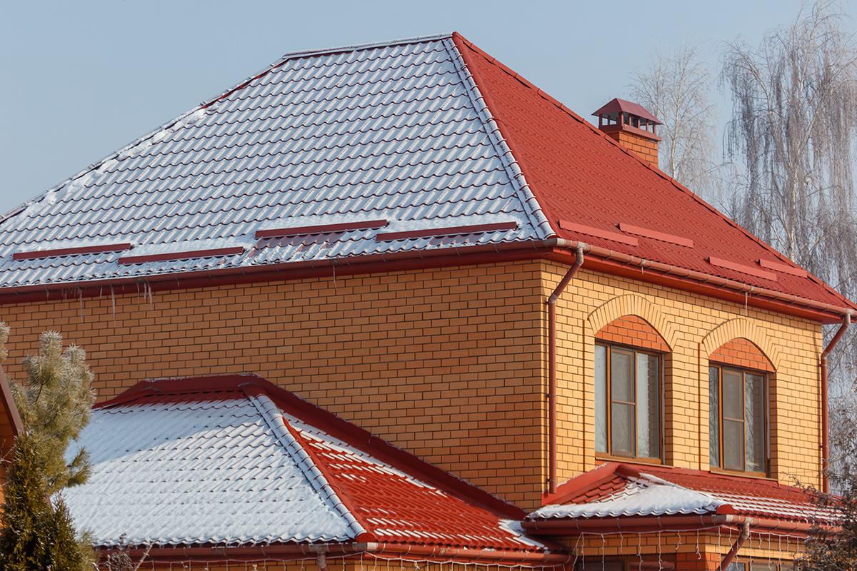 Фото: schankz / Shutterstock / FOTODOM