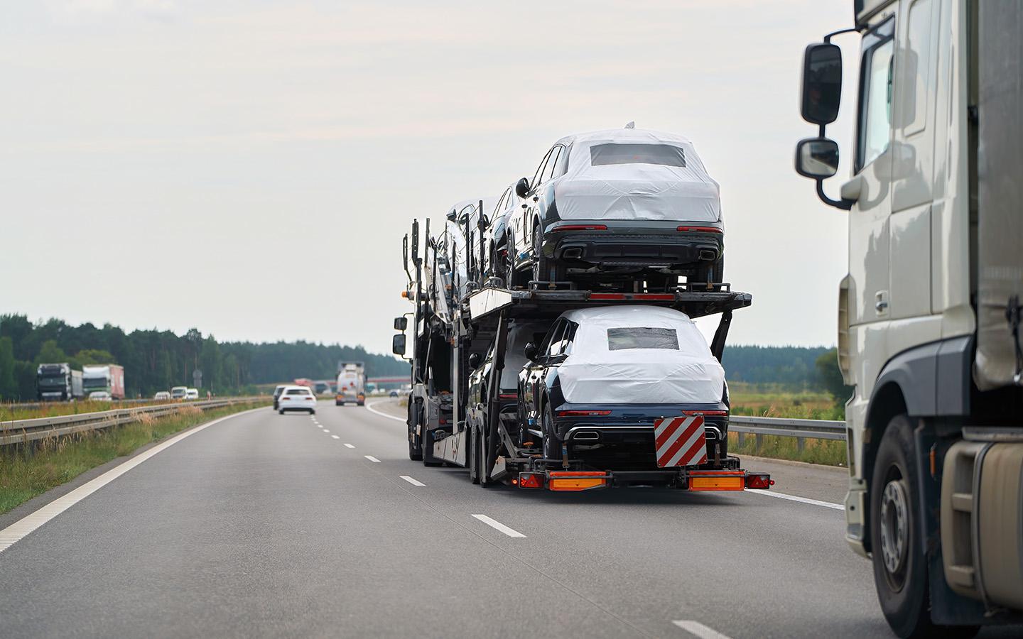 Фото: alexgo.photography / Shutterstock / FOTODOM