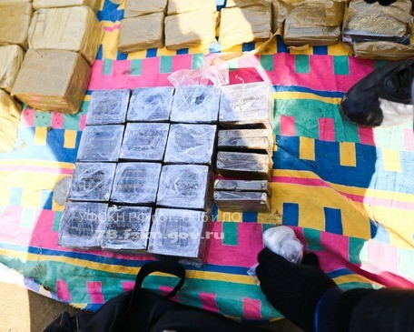 Фото: gnk.spb.ru