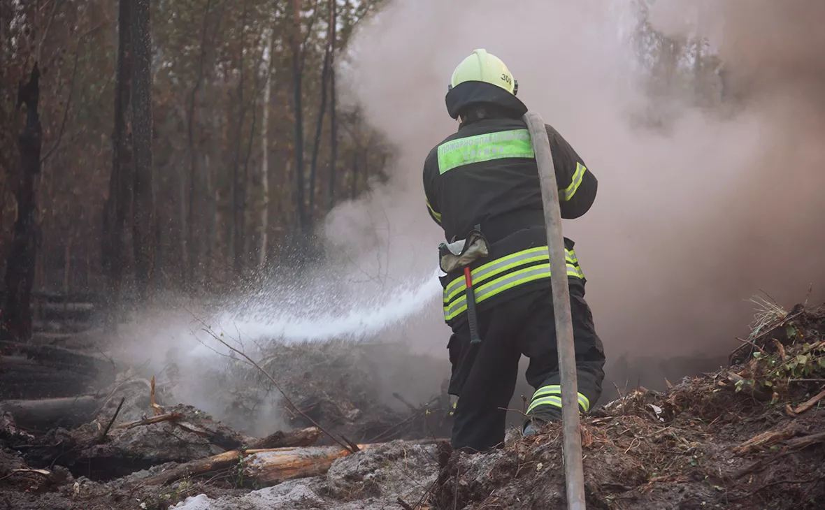 Виталий Белоусов / РИА Новости