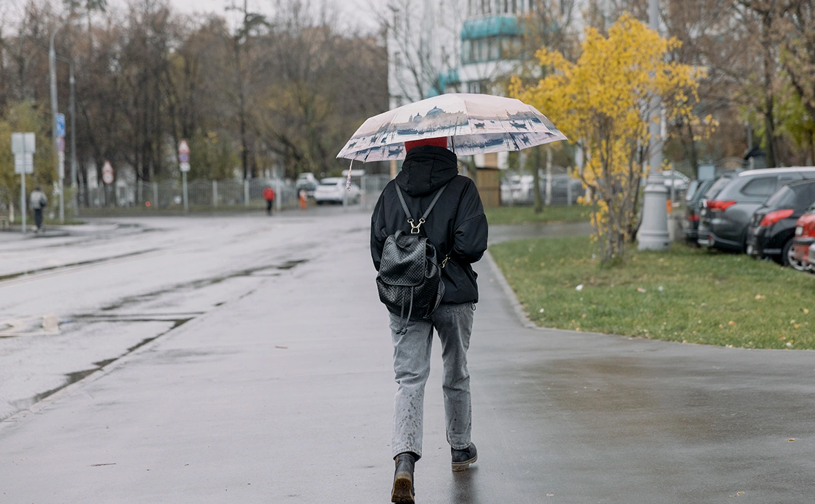 Михаил Гребенщиков / РБК