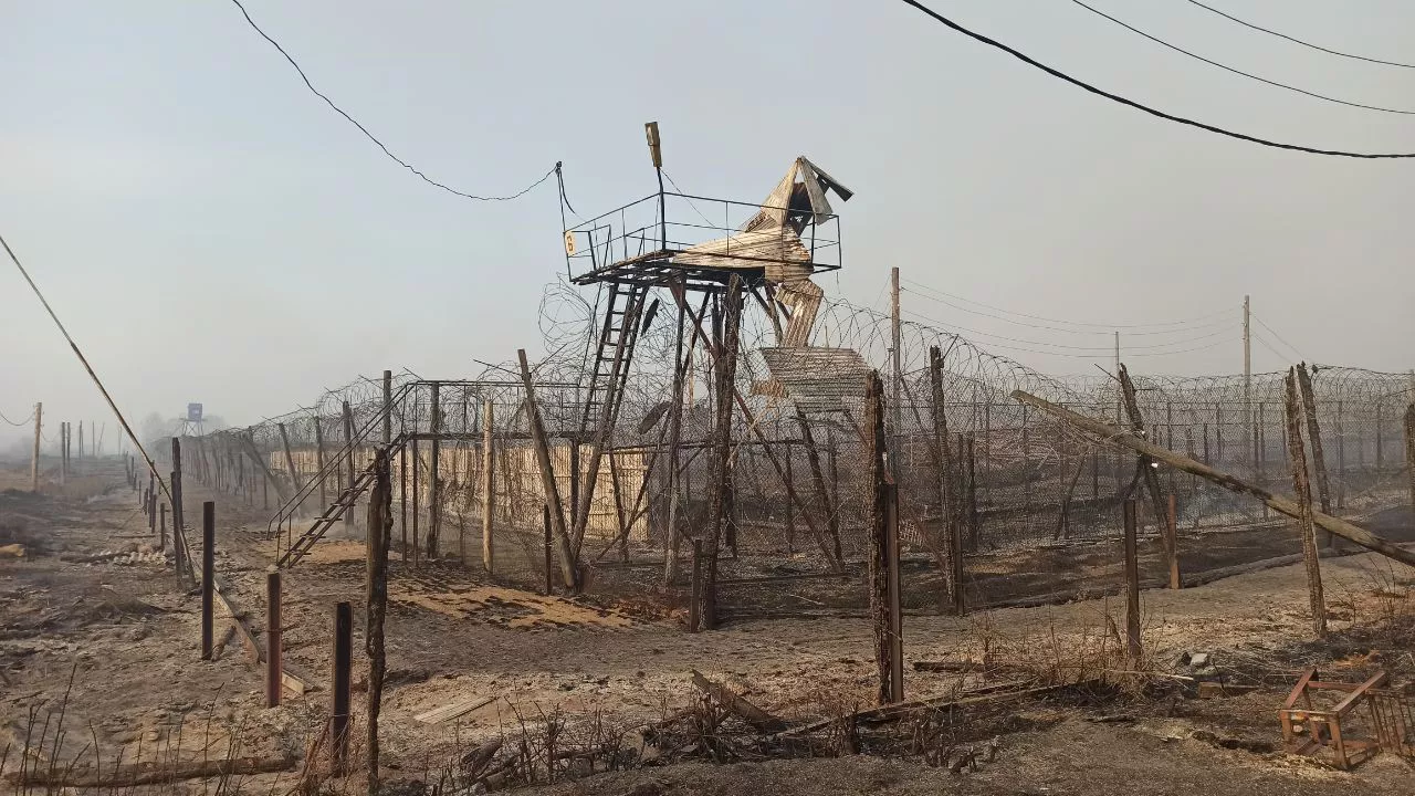 Дмитрий Антоненков, 66.RU