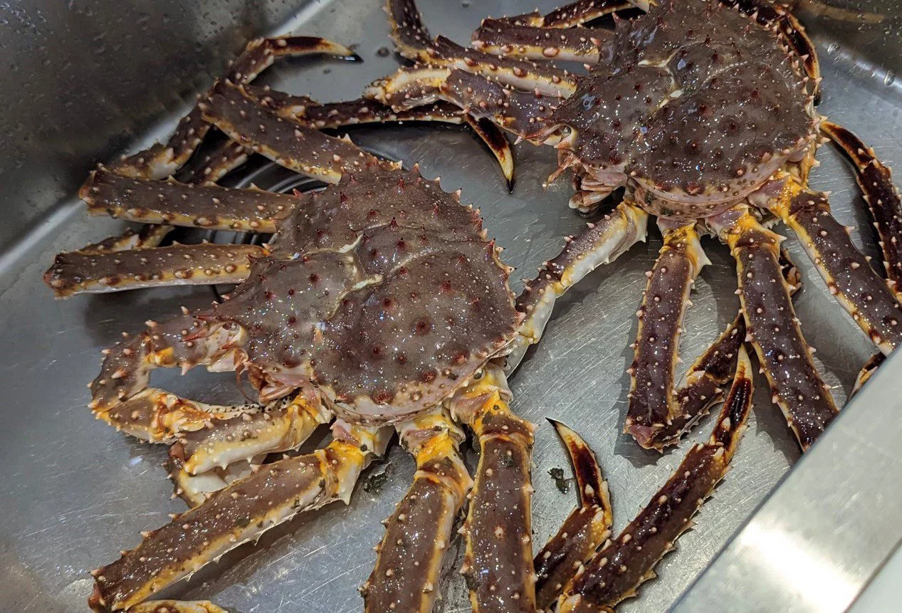 РБК Приморье