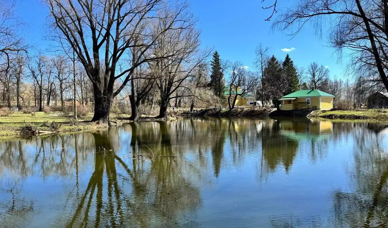 Телеграм-канал Олега Берковича