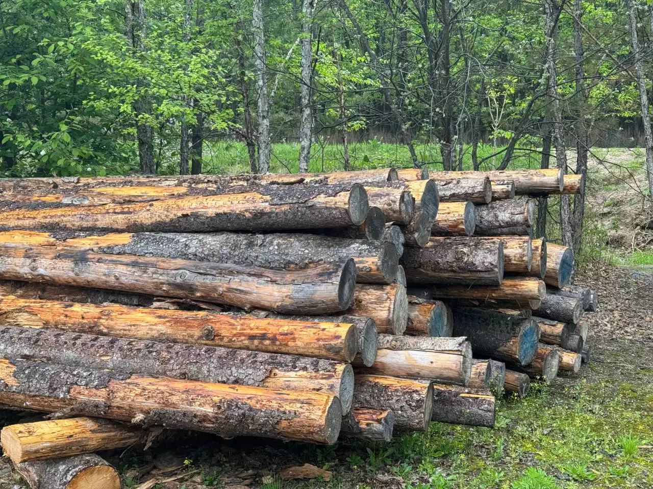 РБК Приморье