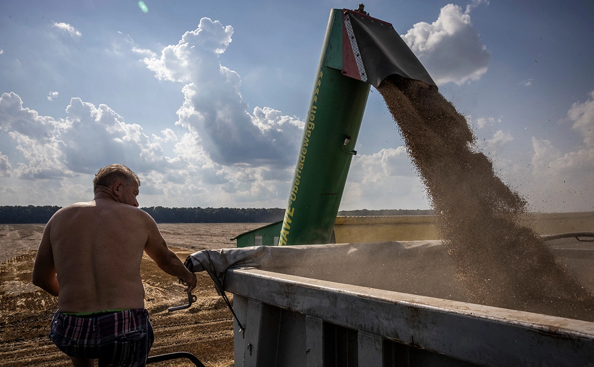 Ed Ram / Getty Images
