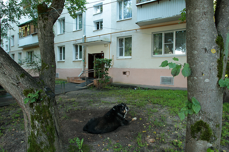 В доме на улице Родниковой, 6 за включение в программу реновации проголосовали 95% собственников.

