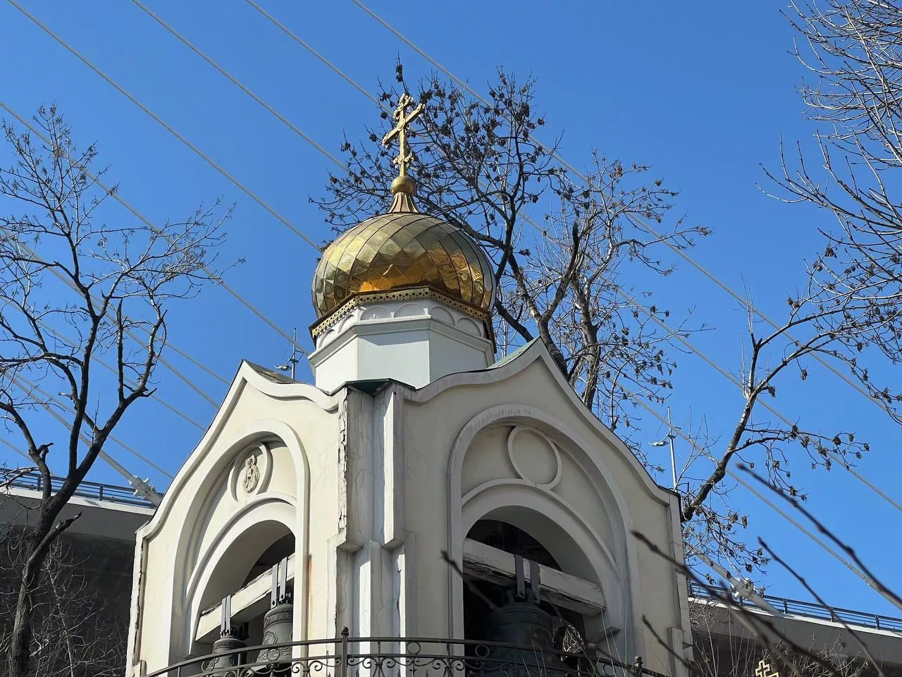 РБК Приморье