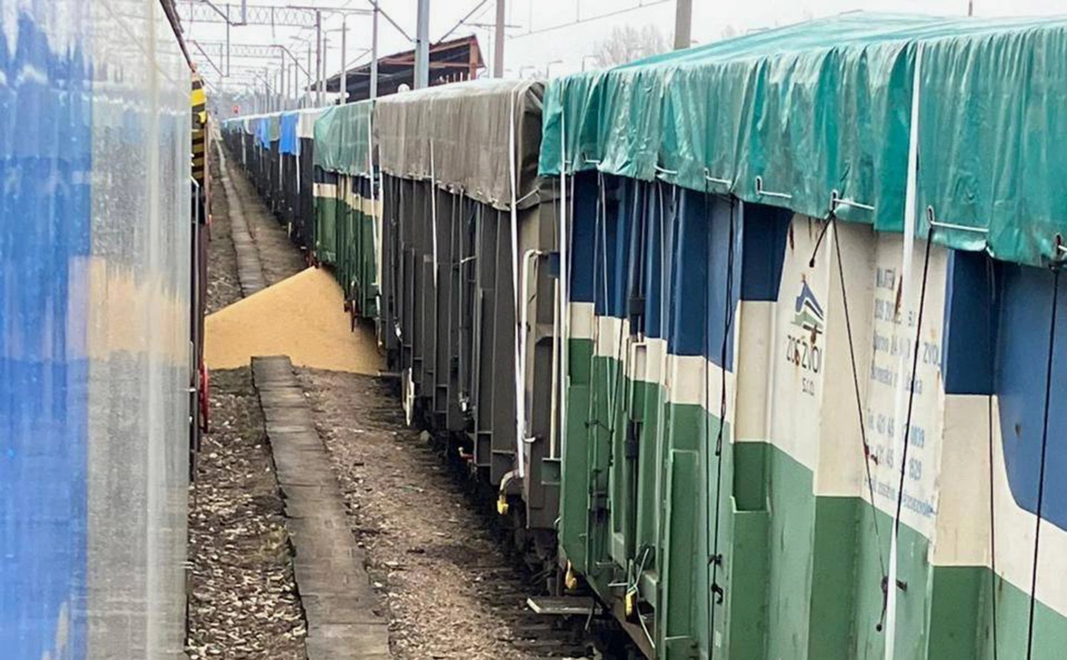 miUkraune / Telegram