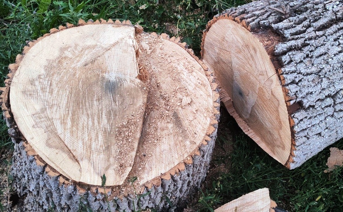 Фото: РБК Черноземье