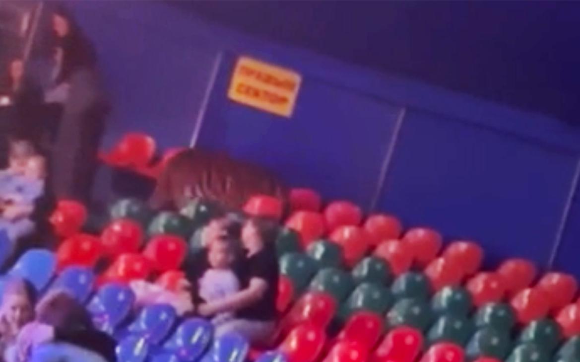 МВД и СК начали проверку после прыжка тигра на трибуны в ростовском цирке