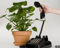 Скоро растения смогут попросить воды по телефону