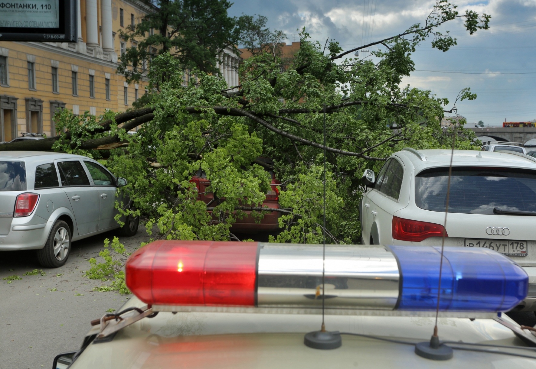 Фото: Холявчук Светлана/PhotoXPress.ru