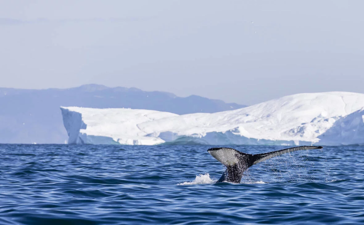 IMAGO / www.imago-images.de / Global Look Press