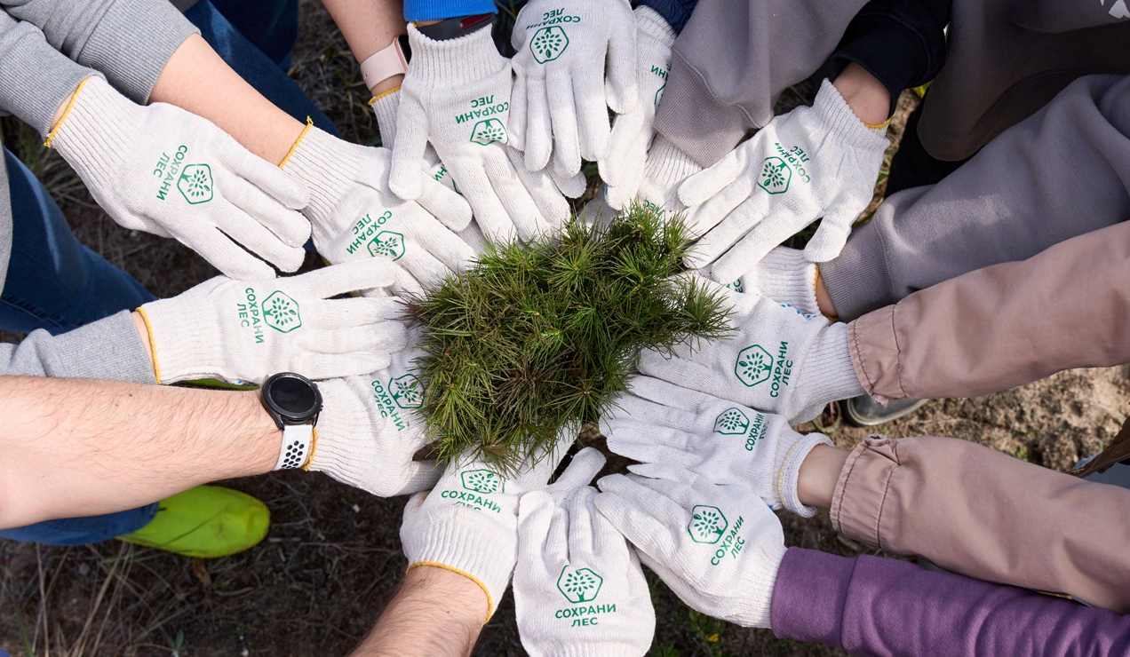 Как расти технологическому бизнесу: три ключевых сервиса для инноваторов