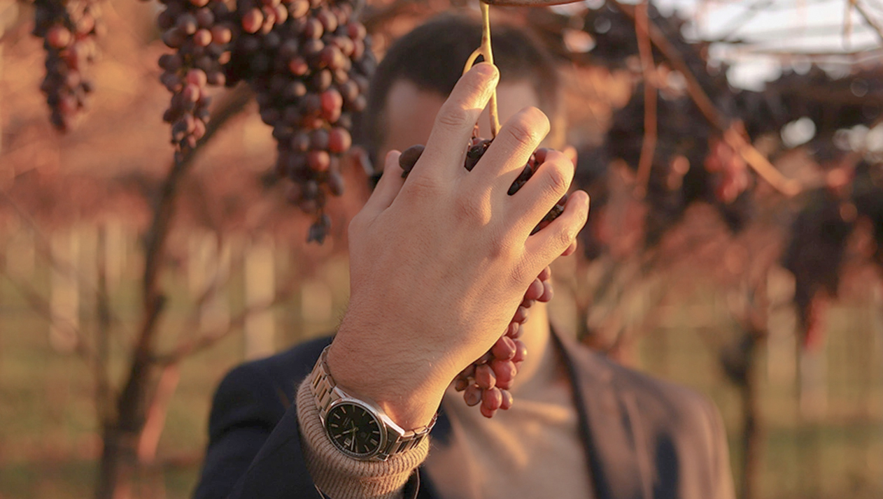 Путь в вине: виноделы и сомелье рассказали, кто предопределил их выбор